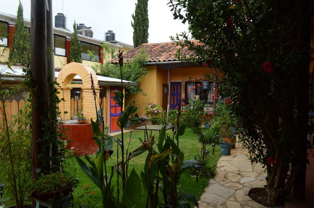 Jaguar You Bed & Breakfast San Cristóbal de Las Casas Dış mekan fotoğraf