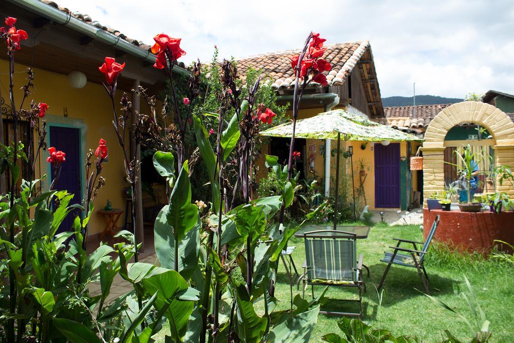 Jaguar You Bed & Breakfast San Cristóbal de Las Casas Dış mekan fotoğraf