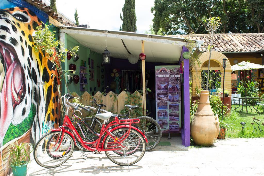 Jaguar You Bed & Breakfast San Cristóbal de Las Casas Dış mekan fotoğraf