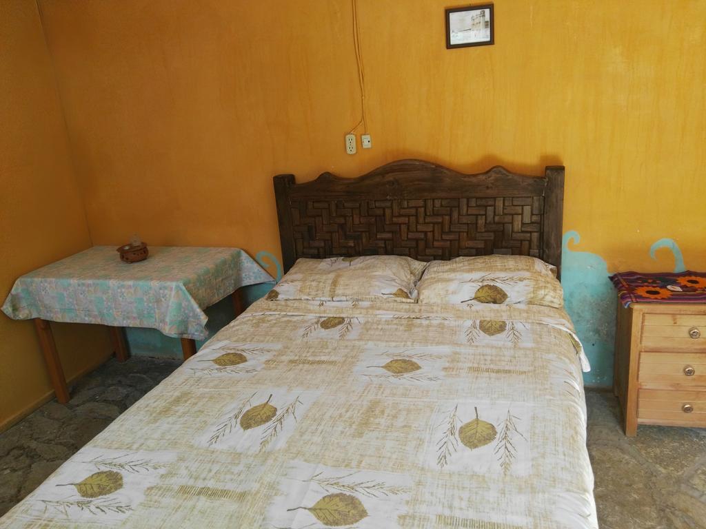 Jaguar You Bed & Breakfast San Cristóbal de Las Casas Dış mekan fotoğraf