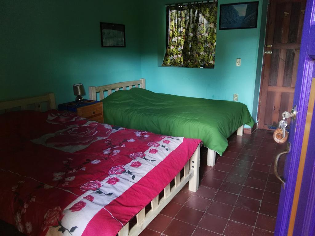 Jaguar You Bed & Breakfast San Cristóbal de Las Casas Dış mekan fotoğraf