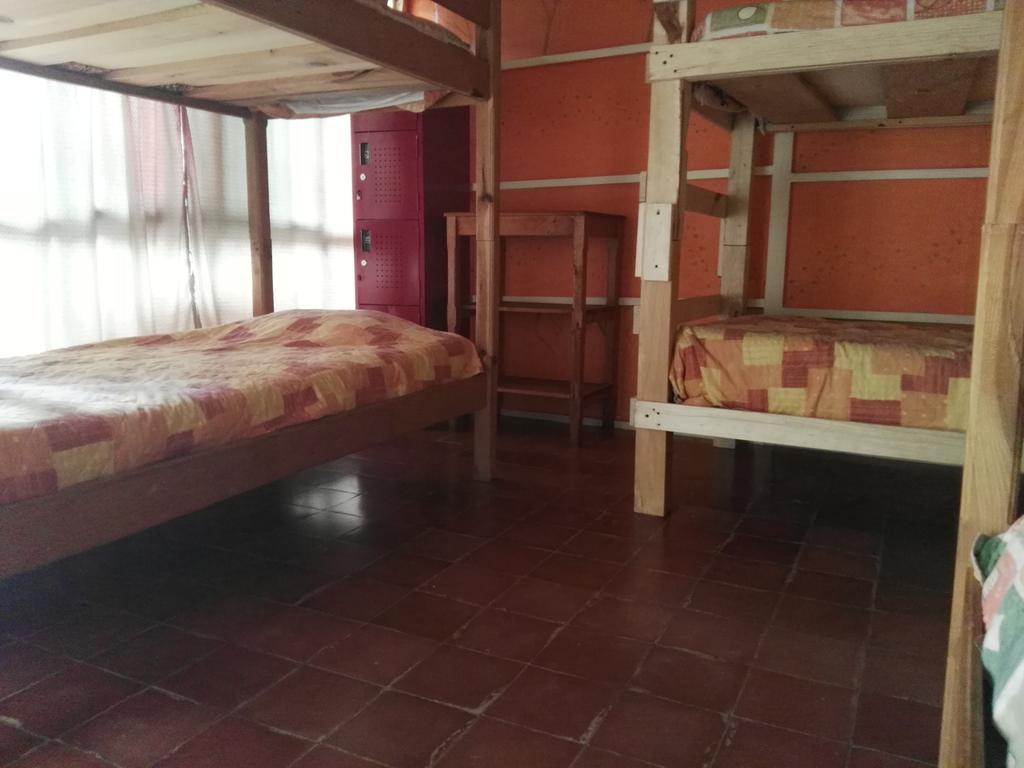 Jaguar You Bed & Breakfast San Cristóbal de Las Casas Dış mekan fotoğraf