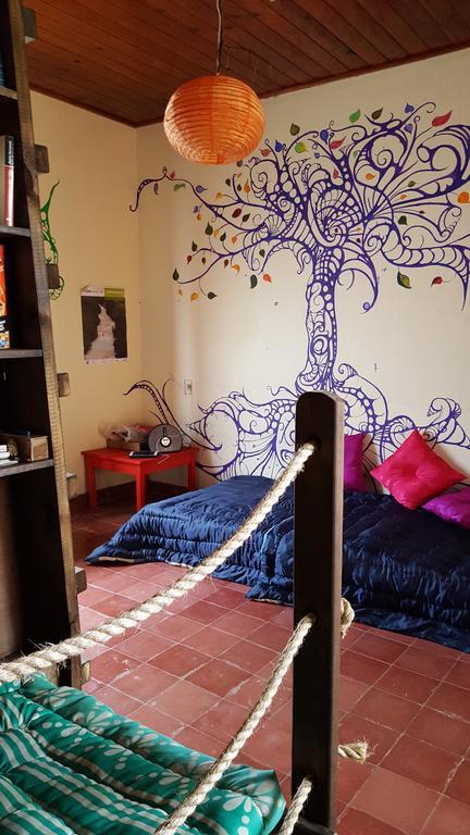 Jaguar You Bed & Breakfast San Cristóbal de Las Casas Dış mekan fotoğraf